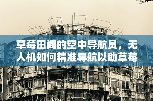 草莓田间的空中导航员，无人机如何精准导航以助草莓丰收？
