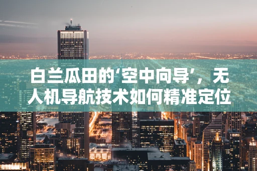 白兰瓜田的‘空中向导’，无人机导航技术如何精准定位？
