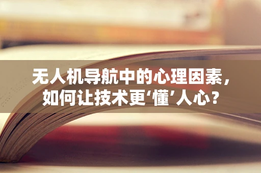 无人机导航中的心理因素，如何让技术更‘懂’人心？
