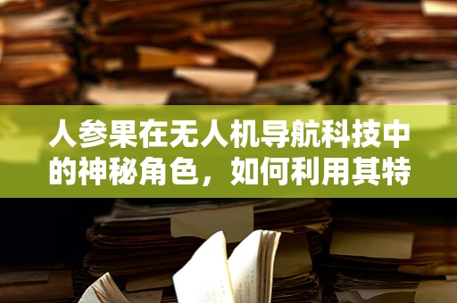 人参果在无人机导航科技中的神秘角色，如何利用其特性优化路径规划？