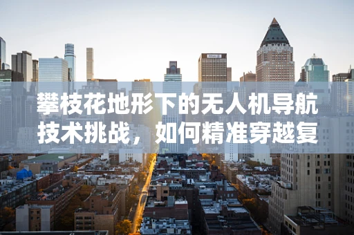攀枝花地形下的无人机导航技术挑战，如何精准穿越复杂山峦？