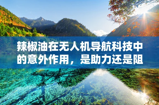 辣椒油在无人机导航科技中的意外作用，是助力还是阻力？
