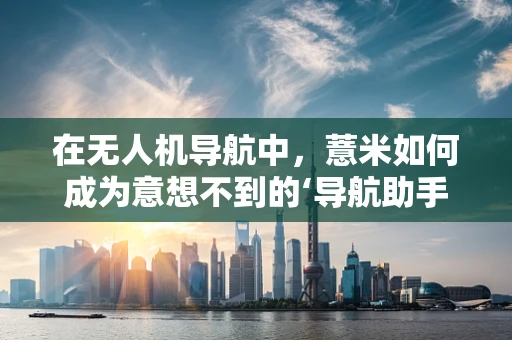 在无人机导航中，薏米如何成为意想不到的‘导航助手’？