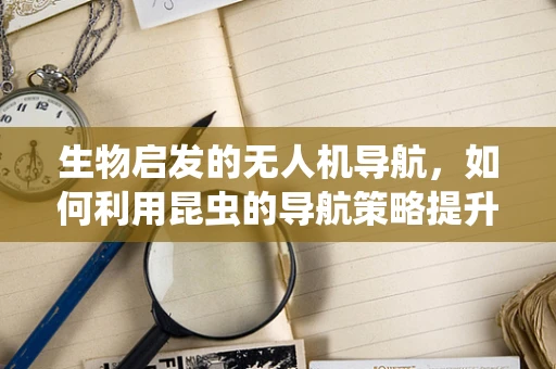 生物启发的无人机导航，如何利用昆虫的导航策略提升飞行效率？