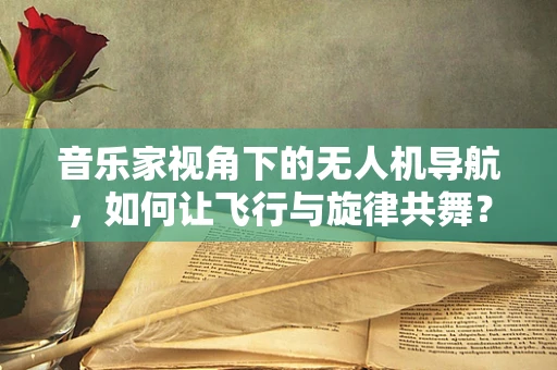 音乐家视角下的无人机导航，如何让飞行与旋律共舞？