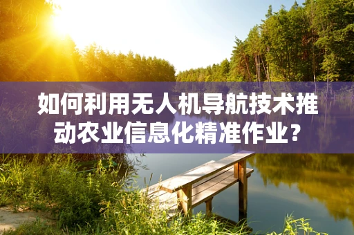 如何利用无人机导航技术推动农业信息化精准作业？