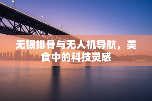无锡排骨与无人机导航，美食中的科技灵感