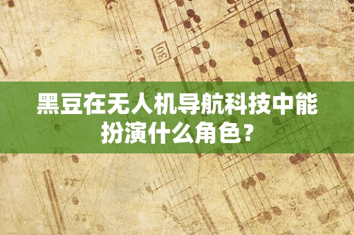 黑豆在无人机导航科技中能扮演什么角色？