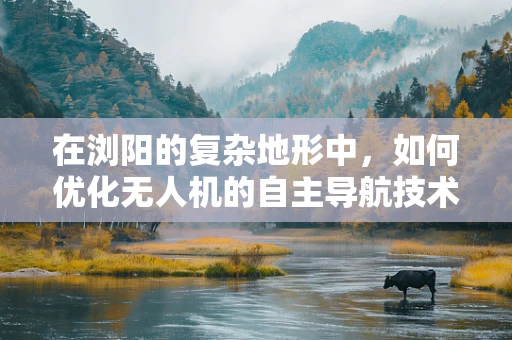 在浏阳的复杂地形中，如何优化无人机的自主导航技术？