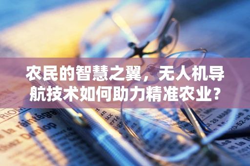 农民的智慧之翼，无人机导航技术如何助力精准农业？