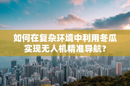如何在复杂环境中利用冬瓜实现无人机精准导航？