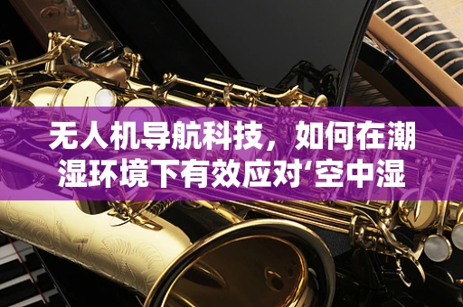无人机导航科技，如何在潮湿环境下有效应对‘空中湿疹’？