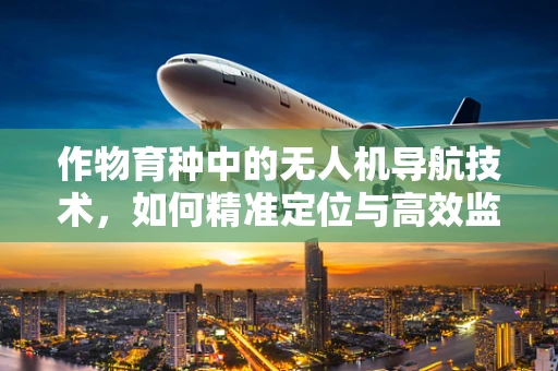 作物育种中的无人机导航技术，如何精准定位与高效监测？