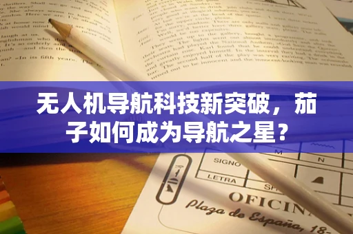 无人机导航科技新突破，茄子如何成为导航之星？