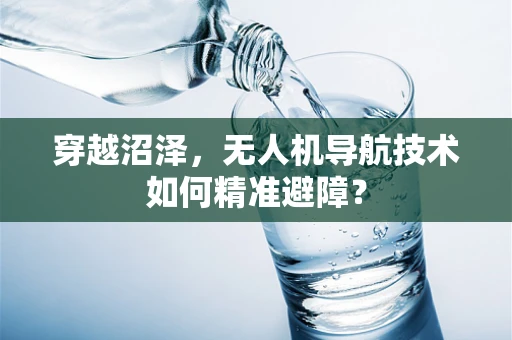 穿越沼泽，无人机导航技术如何精准避障？