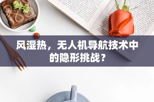 风湿热，无人机导航技术中的隐形挑战？