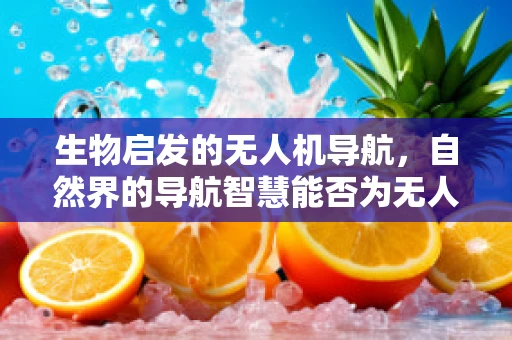 生物启发的无人机导航，自然界的导航智慧能否为无人机技术带来革新？