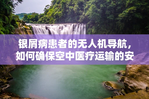 银屑病患者的无人机导航，如何确保空中医疗运输的安全与隐私？