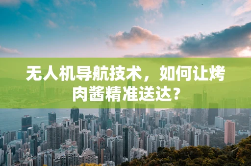 无人机导航技术，如何让烤肉酱精准送达？