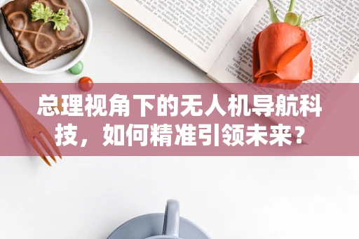 总理视角下的无人机导航科技，如何精准引领未来？