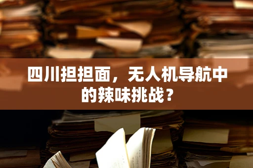 四川担担面，无人机导航中的辣味挑战？
