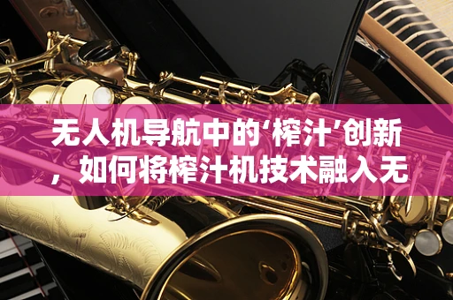 无人机导航中的‘榨汁’创新，如何将榨汁机技术融入无人机定位？
