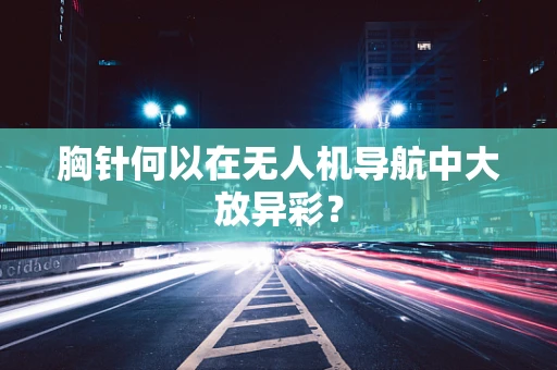 胸针何以在无人机导航中大放异彩？