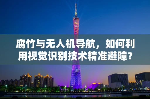 腐竹与无人机导航，如何利用视觉识别技术精准避障？