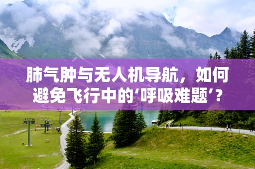 肺气肿与无人机导航，如何避免飞行中的‘呼吸难题’？