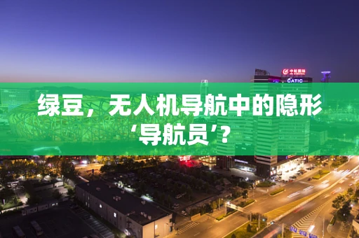 绿豆，无人机导航中的隐形‘导航员’？