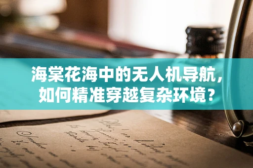 海棠花海中的无人机导航，如何精准穿越复杂环境？