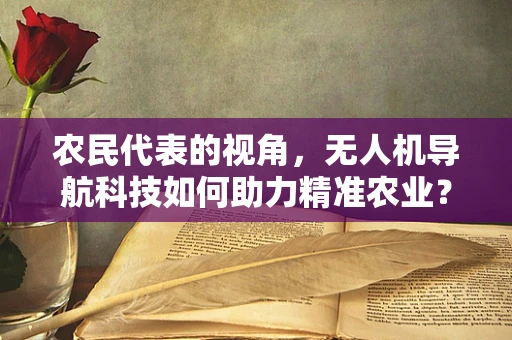 农民代表的视角，无人机导航科技如何助力精准农业？