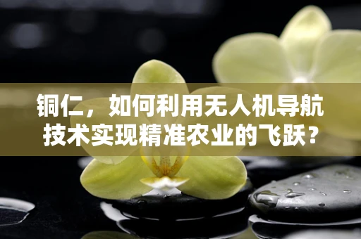 铜仁，如何利用无人机导航技术实现精准农业的飞跃？
