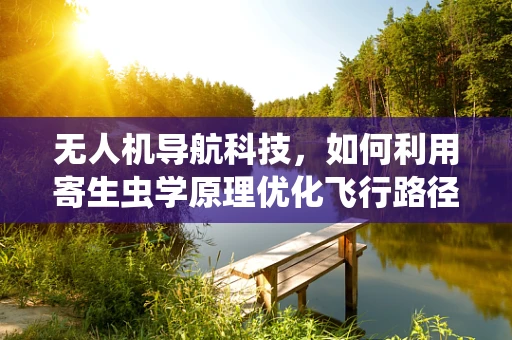 无人机导航科技，如何利用寄生虫学原理优化飞行路径？