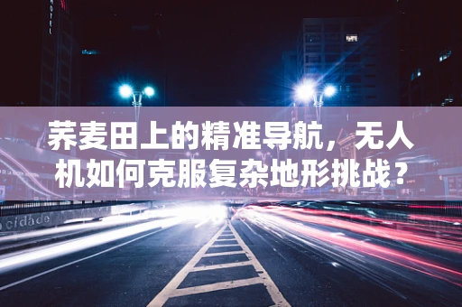 荞麦田上的精准导航，无人机如何克服复杂地形挑战？