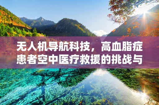 无人机导航科技，高血脂症患者空中医疗救援的挑战与对策