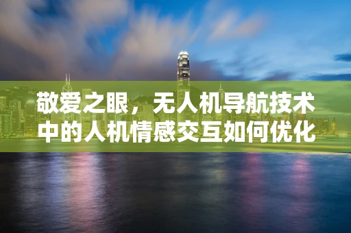 敬爱之眼，无人机导航技术中的人机情感交互如何优化？