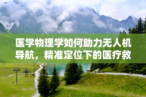 医学物理学如何助力无人机导航，精准定位下的医疗救援新纪元？
