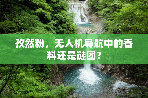 孜然粉，无人机导航中的香料还是谜团？
