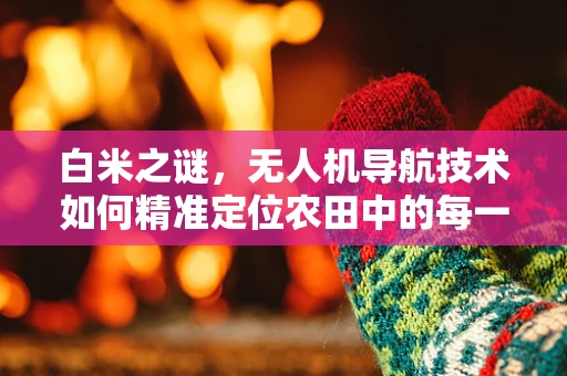 白米之谜，无人机导航技术如何精准定位农田中的每一粒收获？