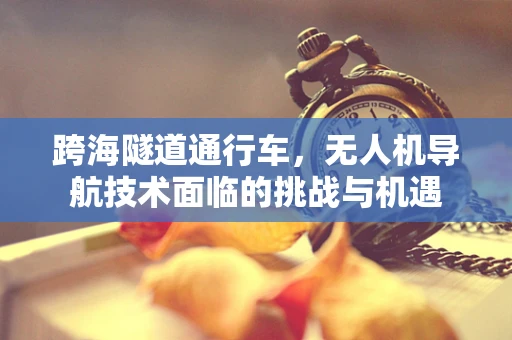 跨海隧道通行车，无人机导航技术面临的挑战与机遇