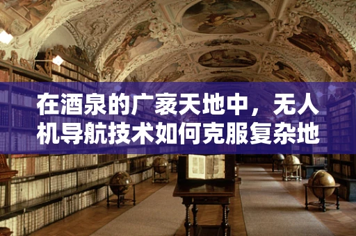 在酒泉的广袤天地中，无人机导航技术如何克服复杂地形挑战？
