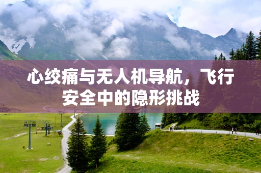 心绞痛与无人机导航，飞行安全中的隐形挑战