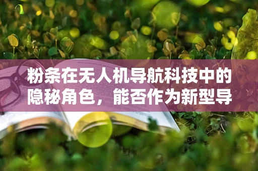 粉条在无人机导航科技中的隐秘角色，能否作为新型导航标记物？