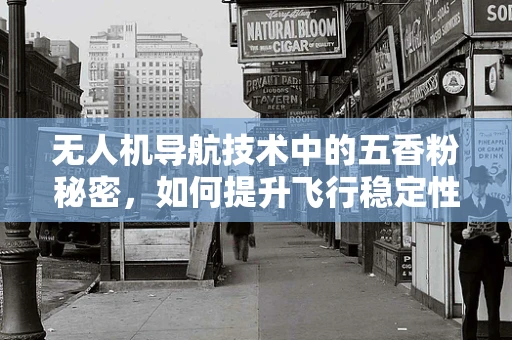 无人机导航技术中的五香粉秘密，如何提升飞行稳定性？