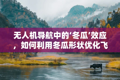 无人机导航中的‘冬瓜’效应，如何利用冬瓜形状优化飞行稳定性？