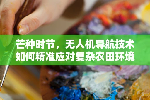 芒种时节，无人机导航技术如何精准应对复杂农田环境？
