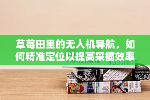 草莓田里的无人机导航，如何精准定位以提高采摘效率？