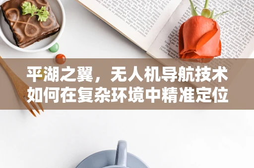 平湖之翼，无人机导航技术如何在复杂环境中精准定位？