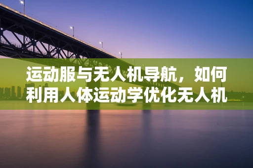 运动服与无人机导航，如何利用人体运动学优化无人机飞行稳定性？